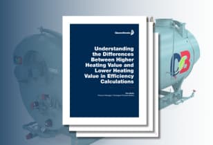 Efficiency Calculations White Paper