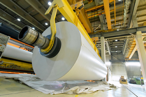 Pulp & Paper Industry